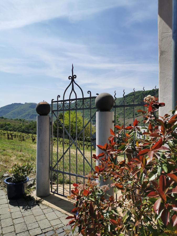 Apartamento Weingut Amlinger&Sohn Neef Exterior foto